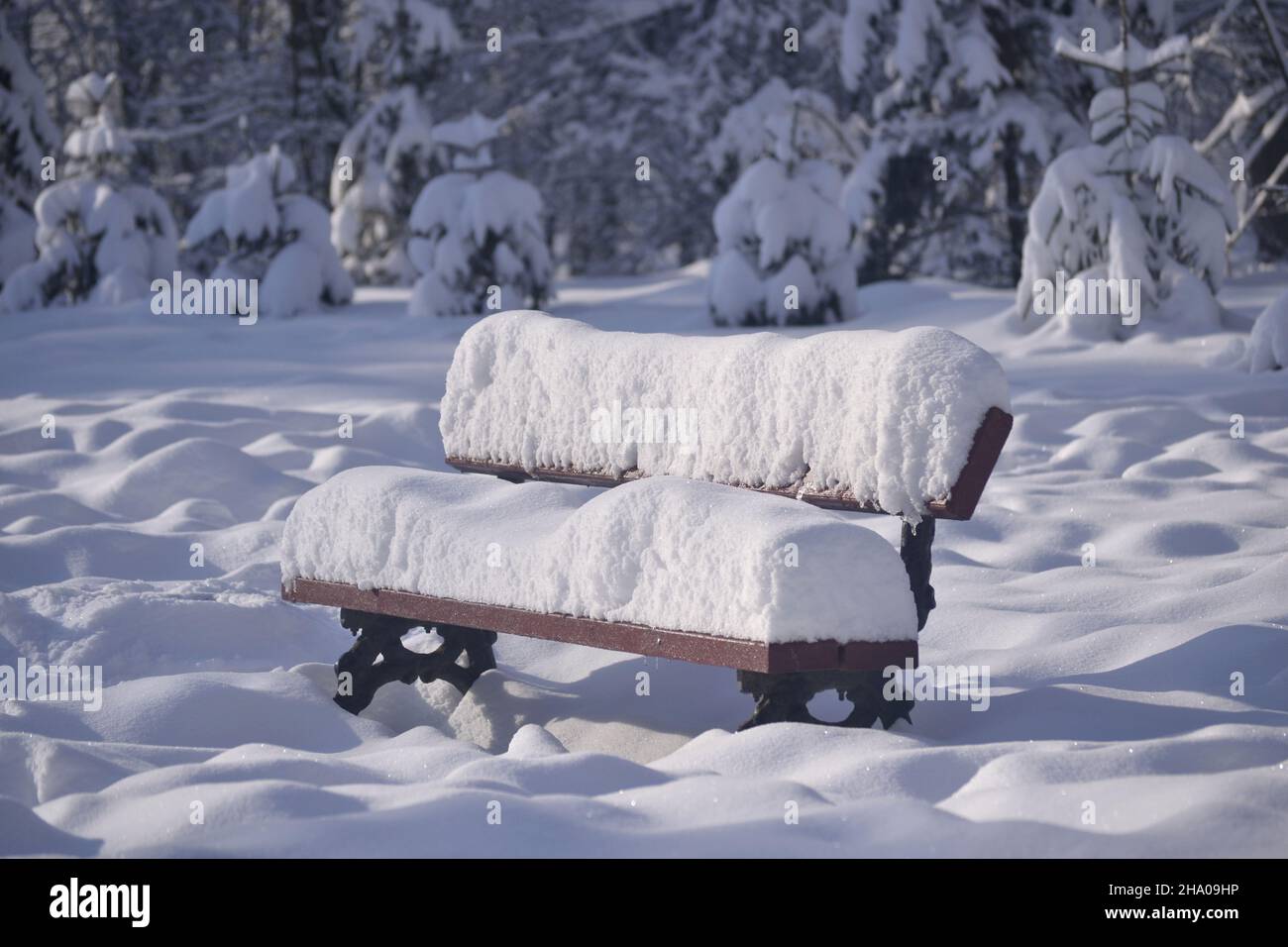 Wooden bench in the park covered with a thick layer of snow Stock Photo ...