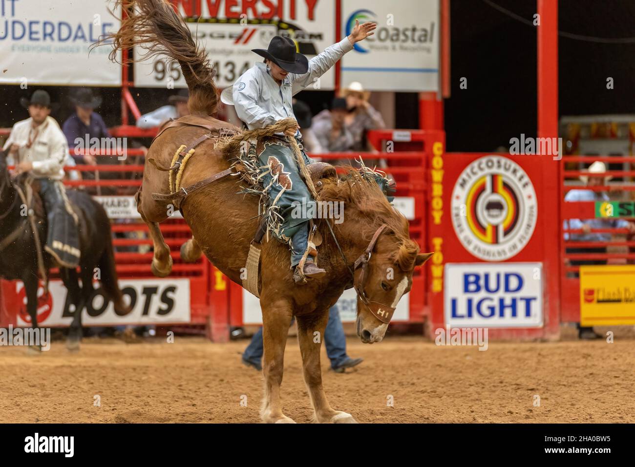 Bronc Riding PNG - Saddle Bronc Riding. - CleanPNG / KissPNG