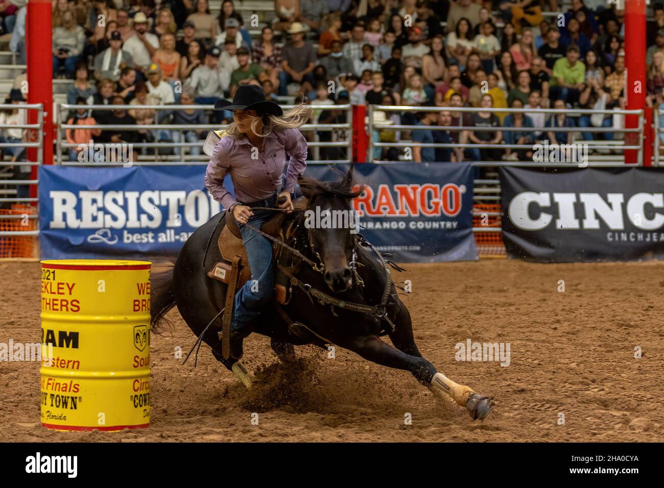Barrel Racing seen on Southeastern Circuit Finals Rodeo during the event. Stock Photo