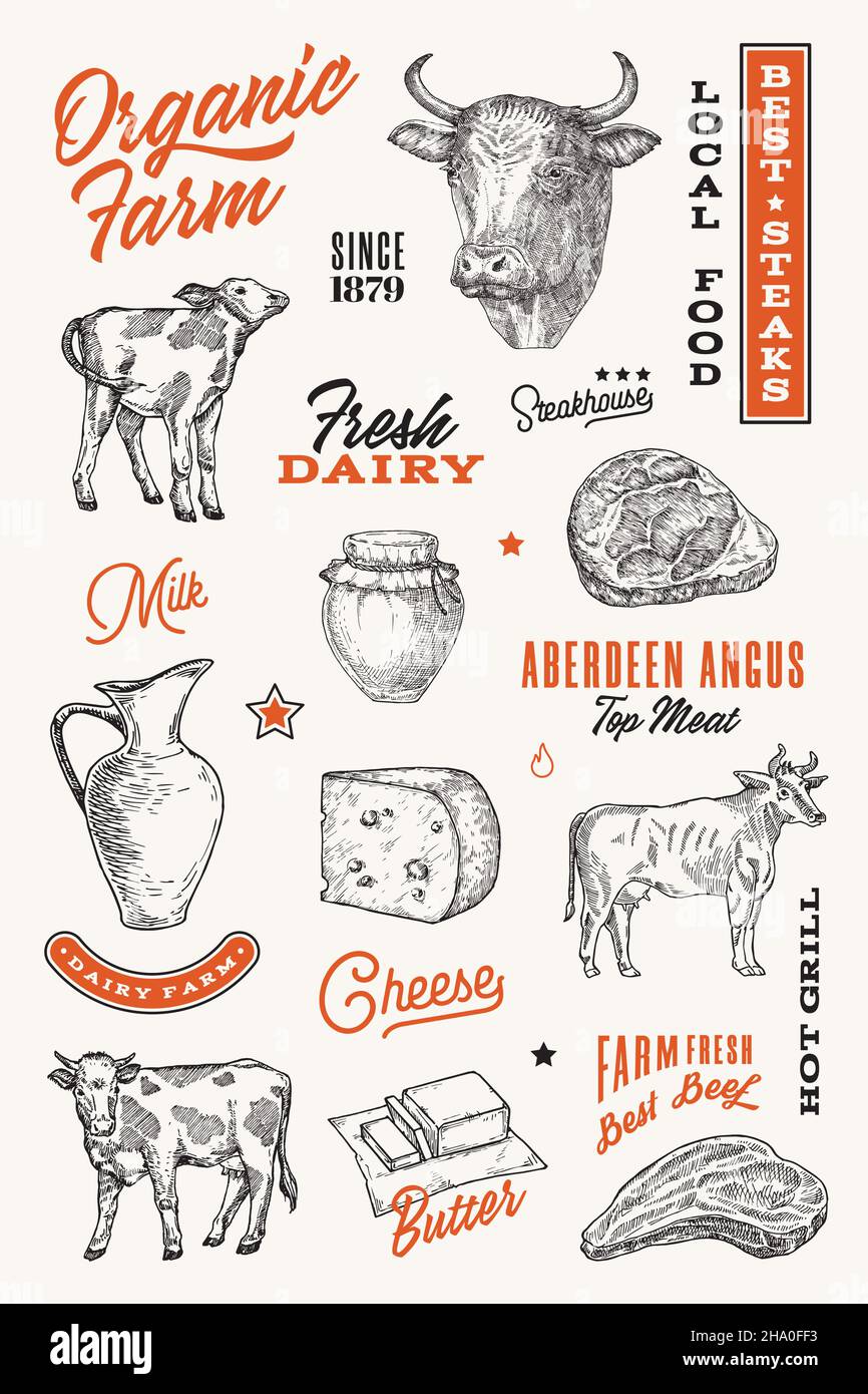 Organic farm hand drawn symbols and illustrations with typography