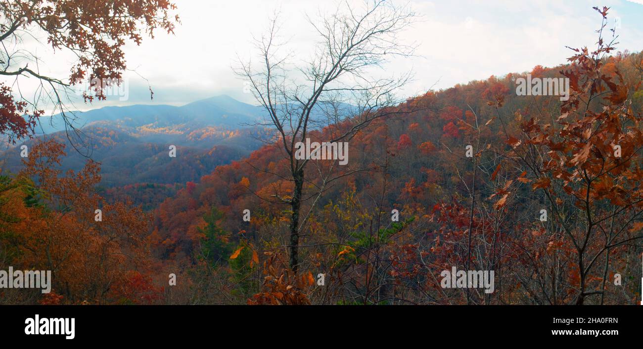 Great Smokey Mountains NP - composite stitch Stock Photo