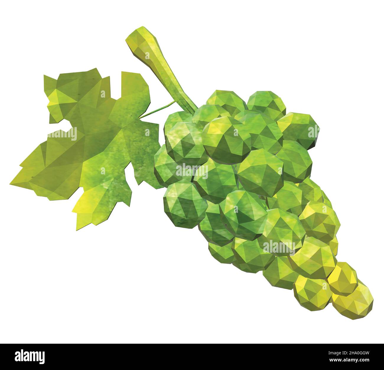Green seedless grapes Stock Vector Images - Alamy