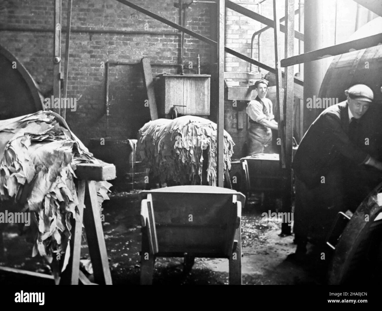 Sammiering skins, leather production, Victorian period Stock Photo