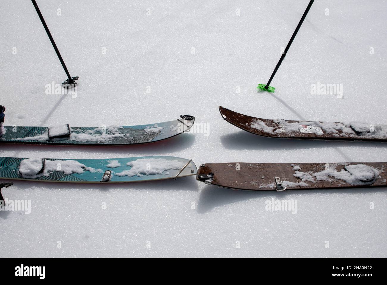 Splitboard tips on crystalized snow Stock Photo Alamy