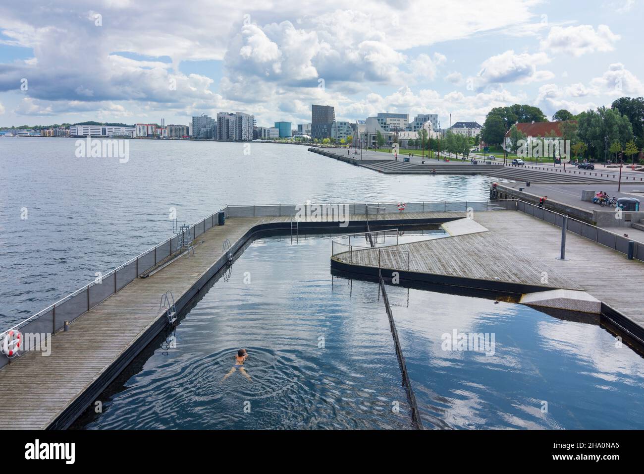 Aalborg: fjord Limfjord, Havnebad outdoor pool, waterfront, swimmer, in Aalborg, Jylland, Jutland, Denmark Stock Photo