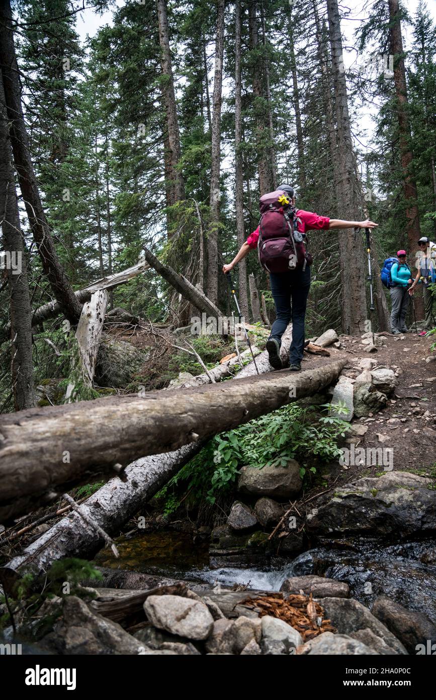 A woman backpacker balances on a log while two others watch Stock Photo ...