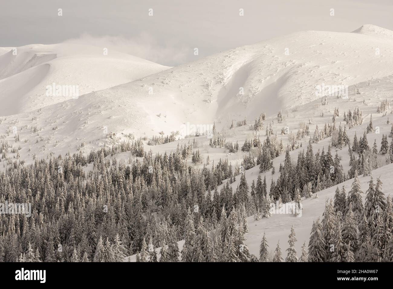 White mountains panorama hi-res stock photography and images - Alamy