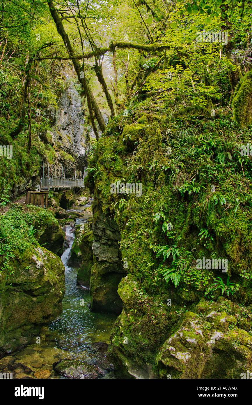 The deep, narrow and heavily forested canyon of the de l'Abîme, SaintClaude, Jura The deep, narrow and heavily forested canyon of the de l'Abîme, SaintClaude, Jura