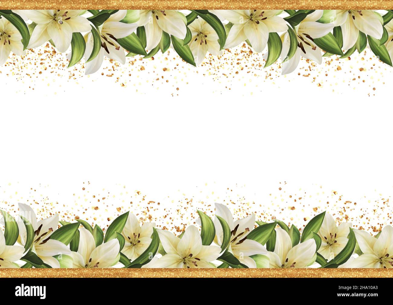 Floral border. White lily flowers seamless pattern. Stock Photo