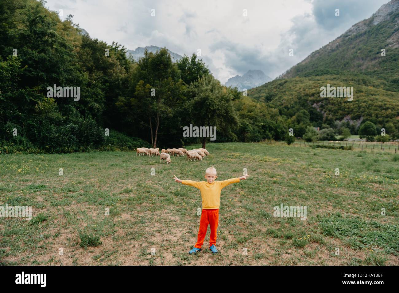 Cute little boy with a sheeps on farm, best friends, boy and lamb ...