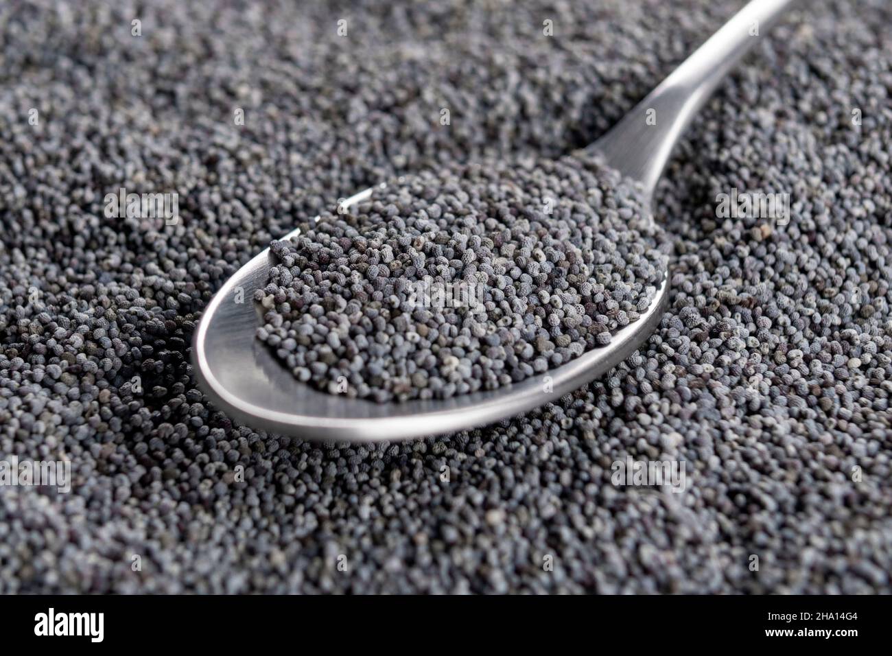 Metal spoon with dry poppy seeds in a heap. Macro. Selective focus Stock Photo