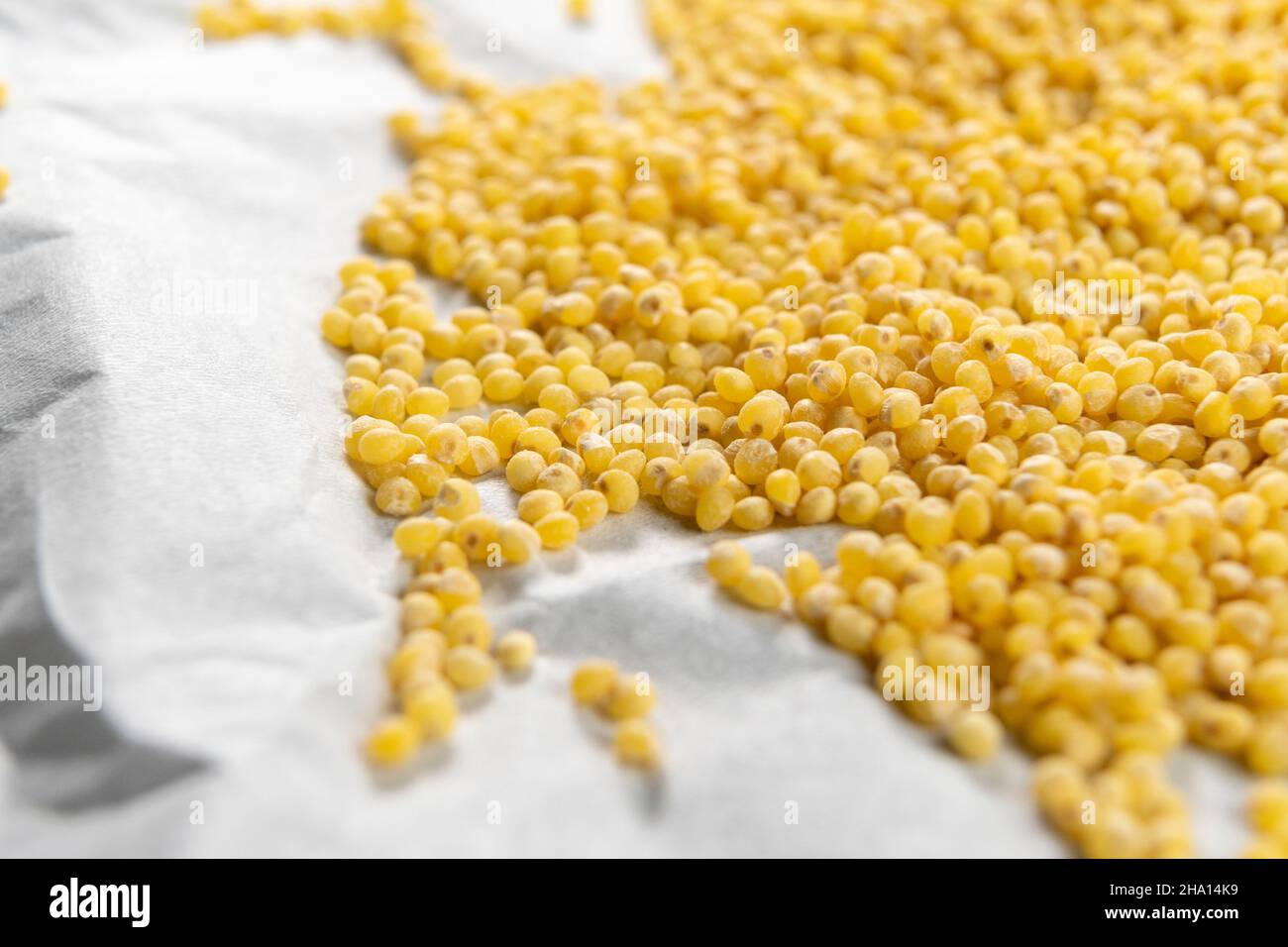 Yellow millet scattered on a white crumpled paper. Macro Stock Photo