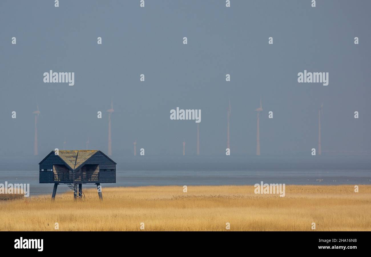 Birdwatching house in the Wadden Sea between the northern Netherlands and Germany Stock Photo