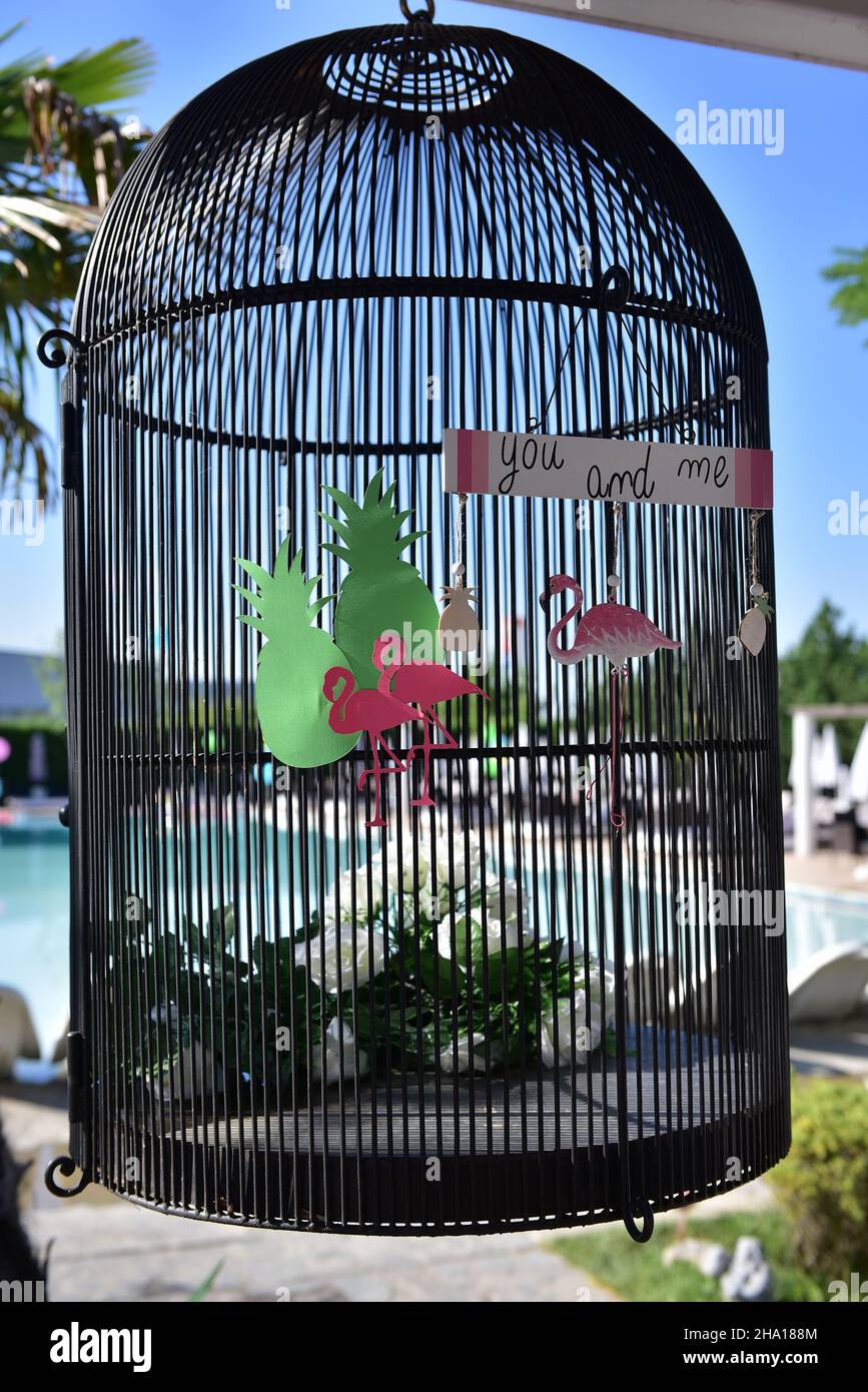Stunning Bird Cage Vertical Clearance Safety image
