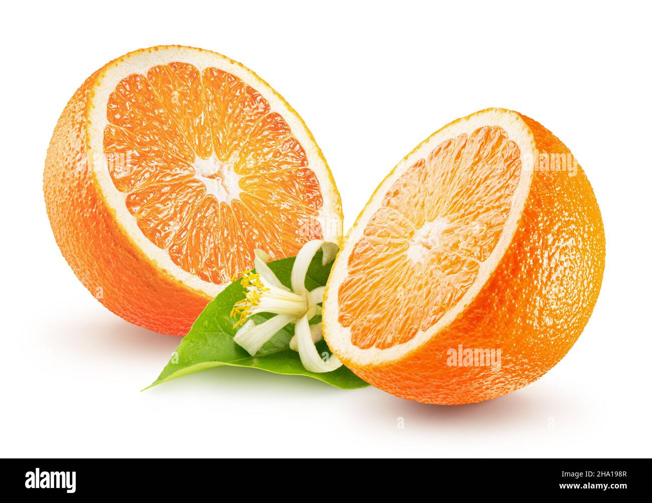 two halves of orange with leaf and orange blossom isolated on a white background. Stock Photo