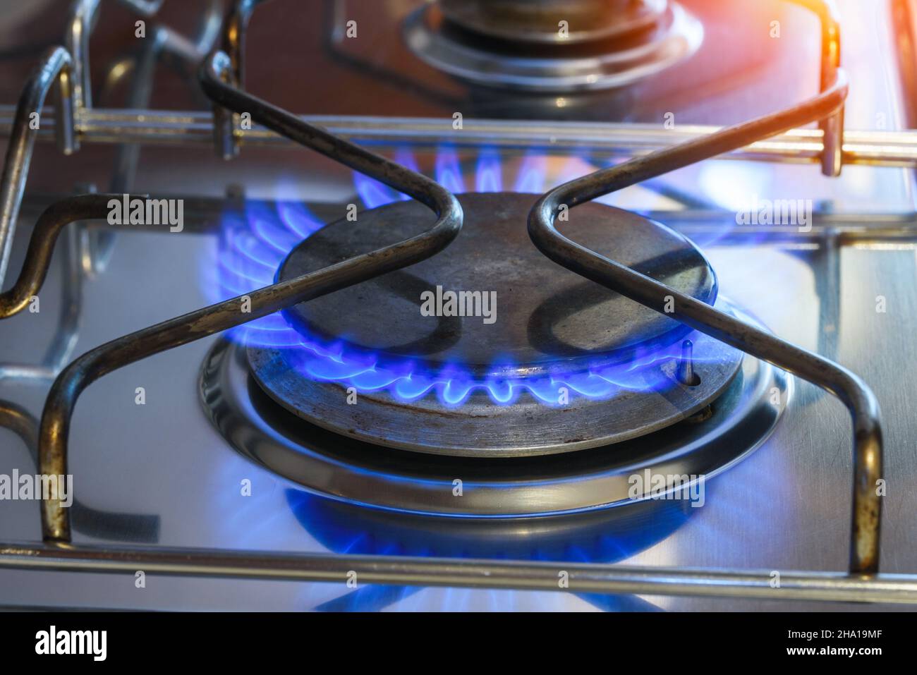 Closeup of a gas ring alight on a cooker hob with blue natual gas flames Stock Photo