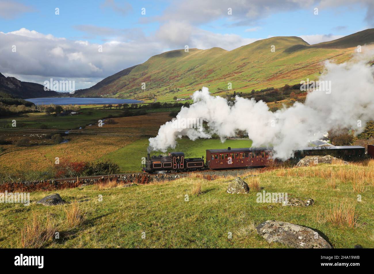 Welsh Pony approaches Rhyd Ddu on the Welsh Highland Railway. Stock Photo