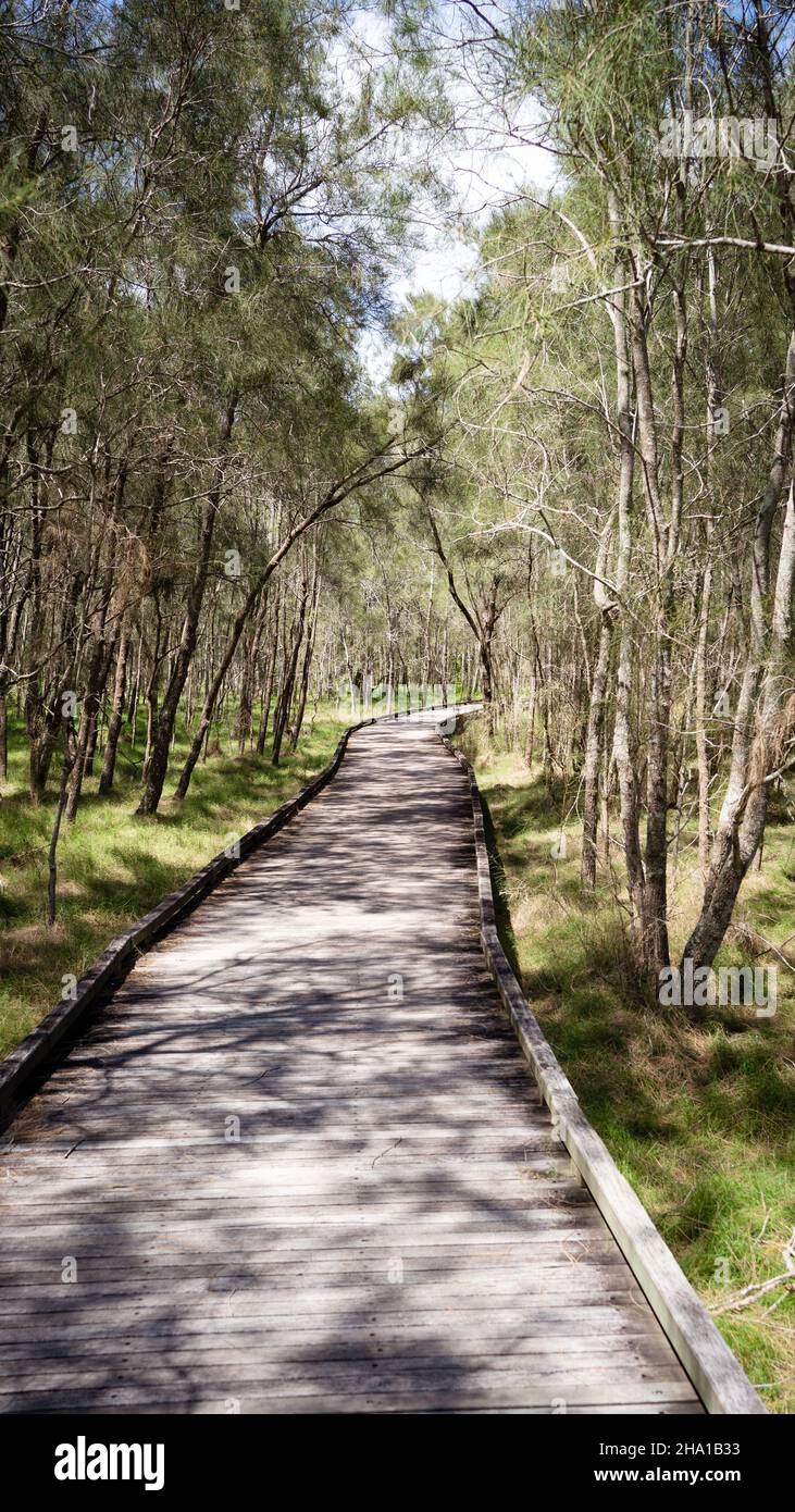 Shot alley in park hi-res stock photography and images - Alamy