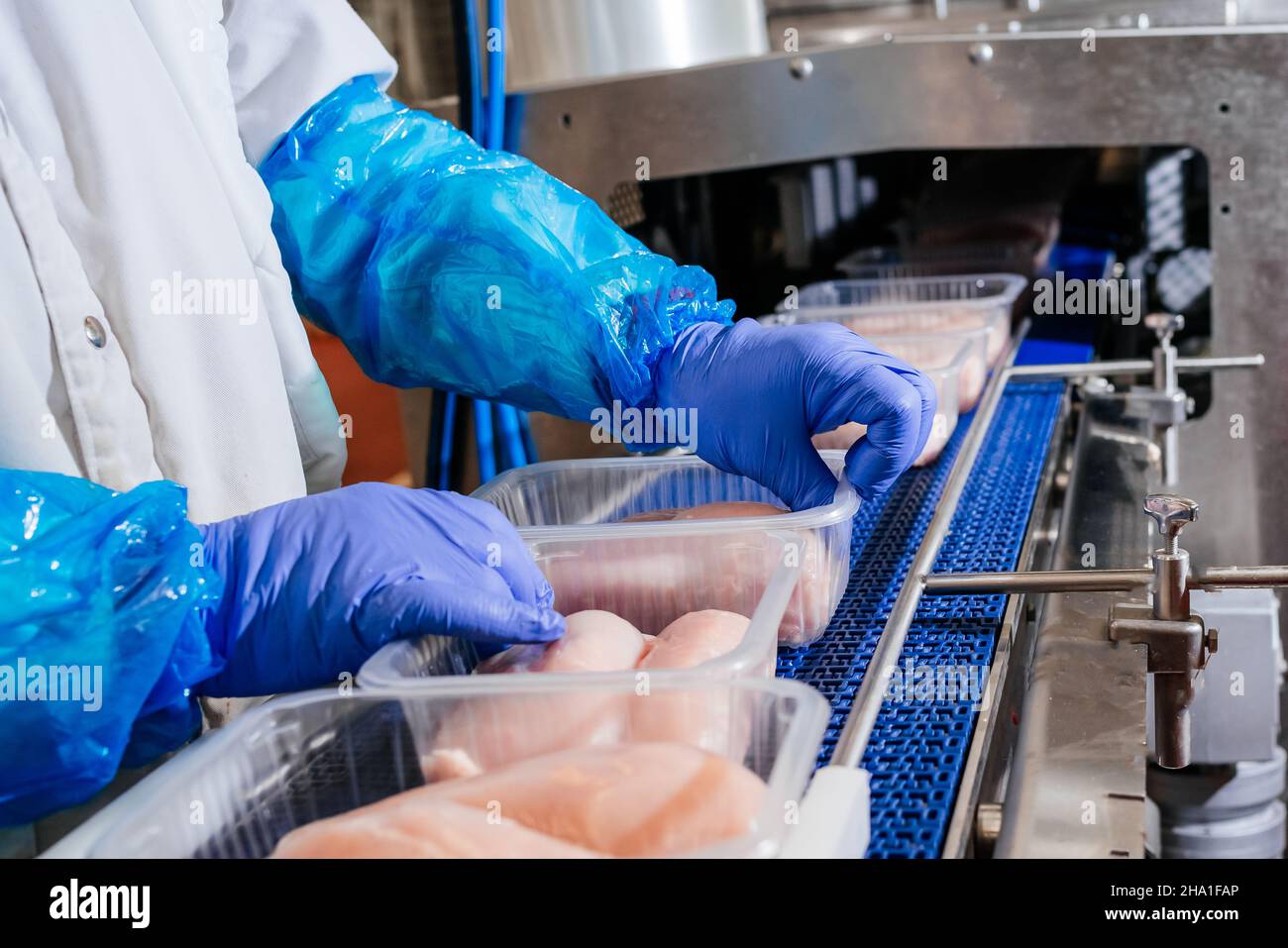 Meat processing,food industry.Packing of meat slices in boxes ,conveyor ...
