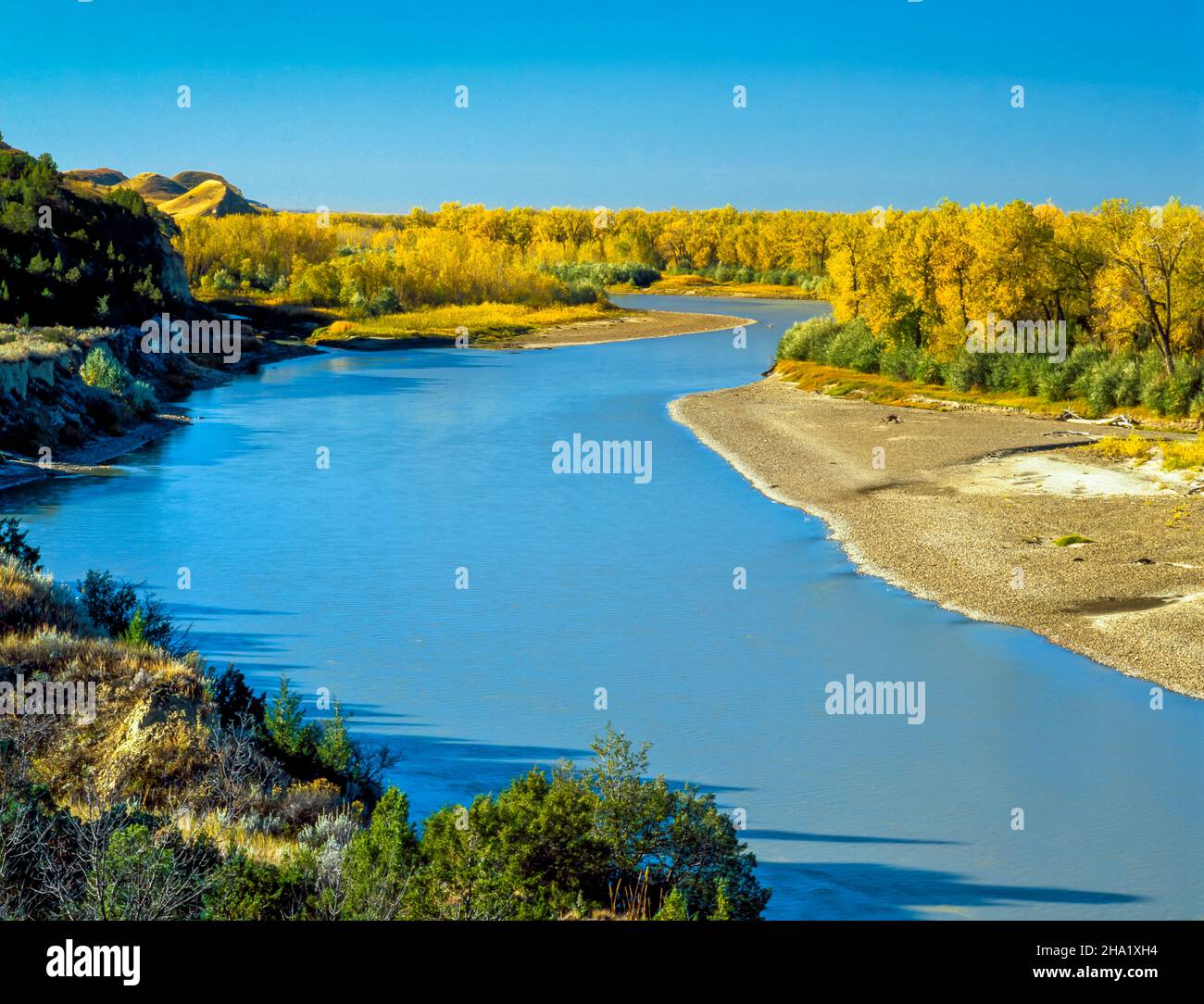 fall colors along the yellowstone river at elk island wildlife management area near savage, montana Stock Photo