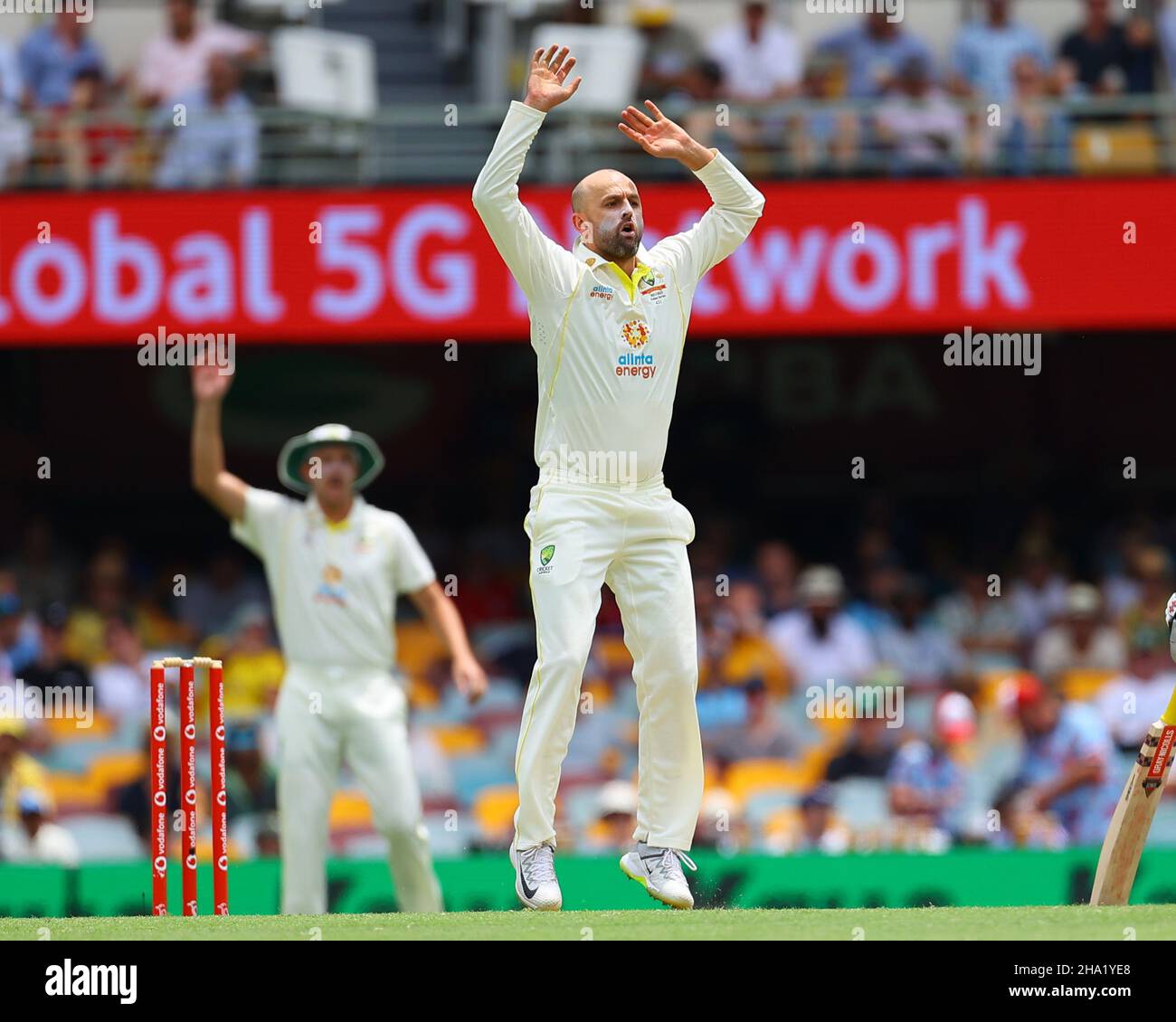 Nathan Lyon of Australia looks desperate as comes close to claiming his 400th wicket Stock Photo