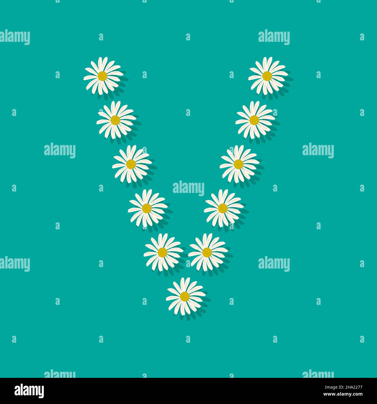 Letter V from white chamomile flowers. Festive font or decoration for spring or summer holiday and design. Vector flat illustration Stock Vector