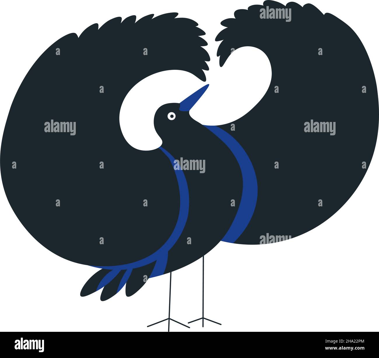 Bright blue wing patches hi-res stock photography and images - Alamy