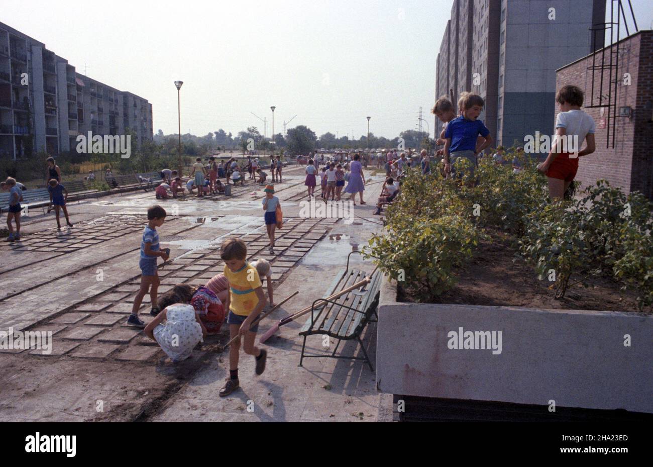 Warszawa 09.1983. Uczniowie porz¹dkuj¹ teren Szko³y Podstawowej nr 307 na Stegnach przy ul. Barceloñskiej 8 z okazji uroczystoœci nadania szkole imienia króla Jana III Sobieskiego. wb  PAP/Maciej Musia³    Dok³adny dzieñ wydarzenia nieustalony.         Warsaw, September 1983. Pupils cleaning school grounds ahead of the ceremony to name the 307 Elementary School at 8 Barcelonska Street in the Stegny district after King John III Sobieski.  wb  PAP/Maciej Musial    Event day unknown Stock Photo