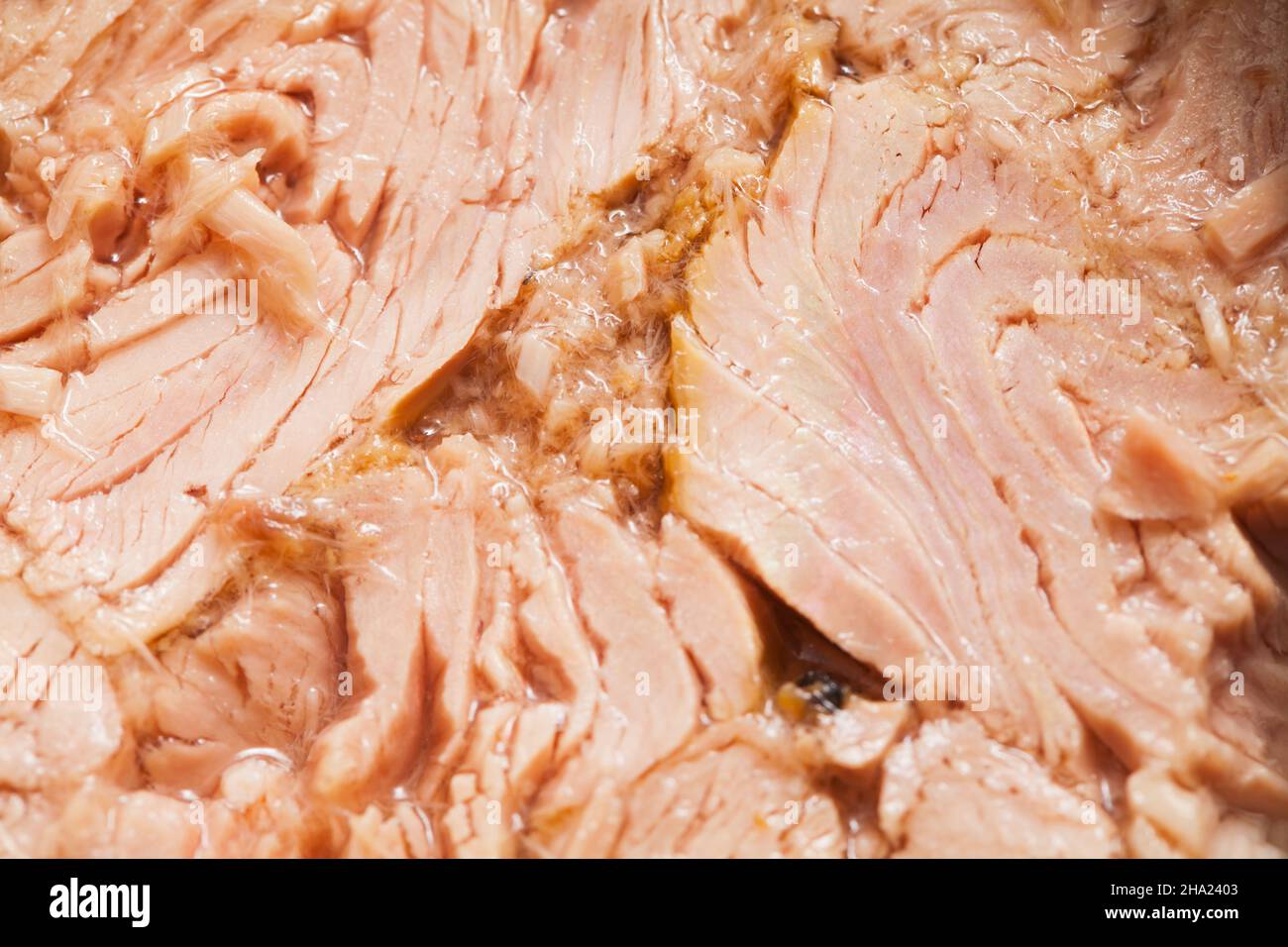Macro photo of a canned tuna fish with olive oil Stock Photo Alamy