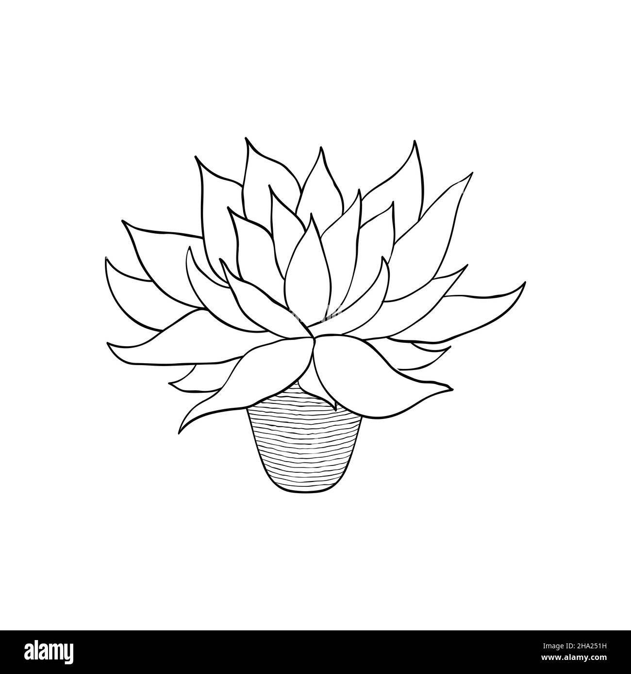 Home flower in doodle style. Stock Vector