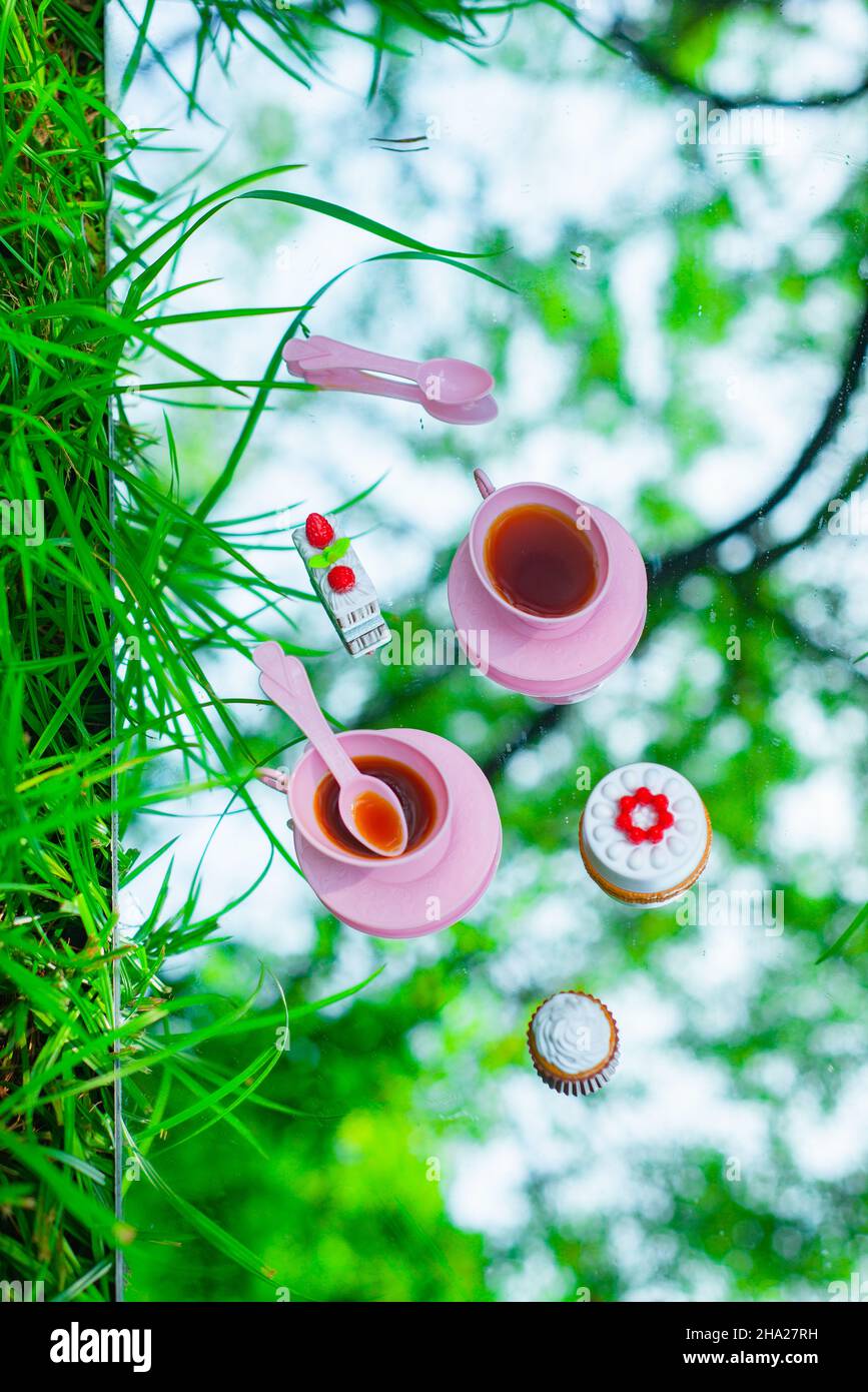 Tea party for dolls, plastic toys picnic, grass and sky Stock Photo