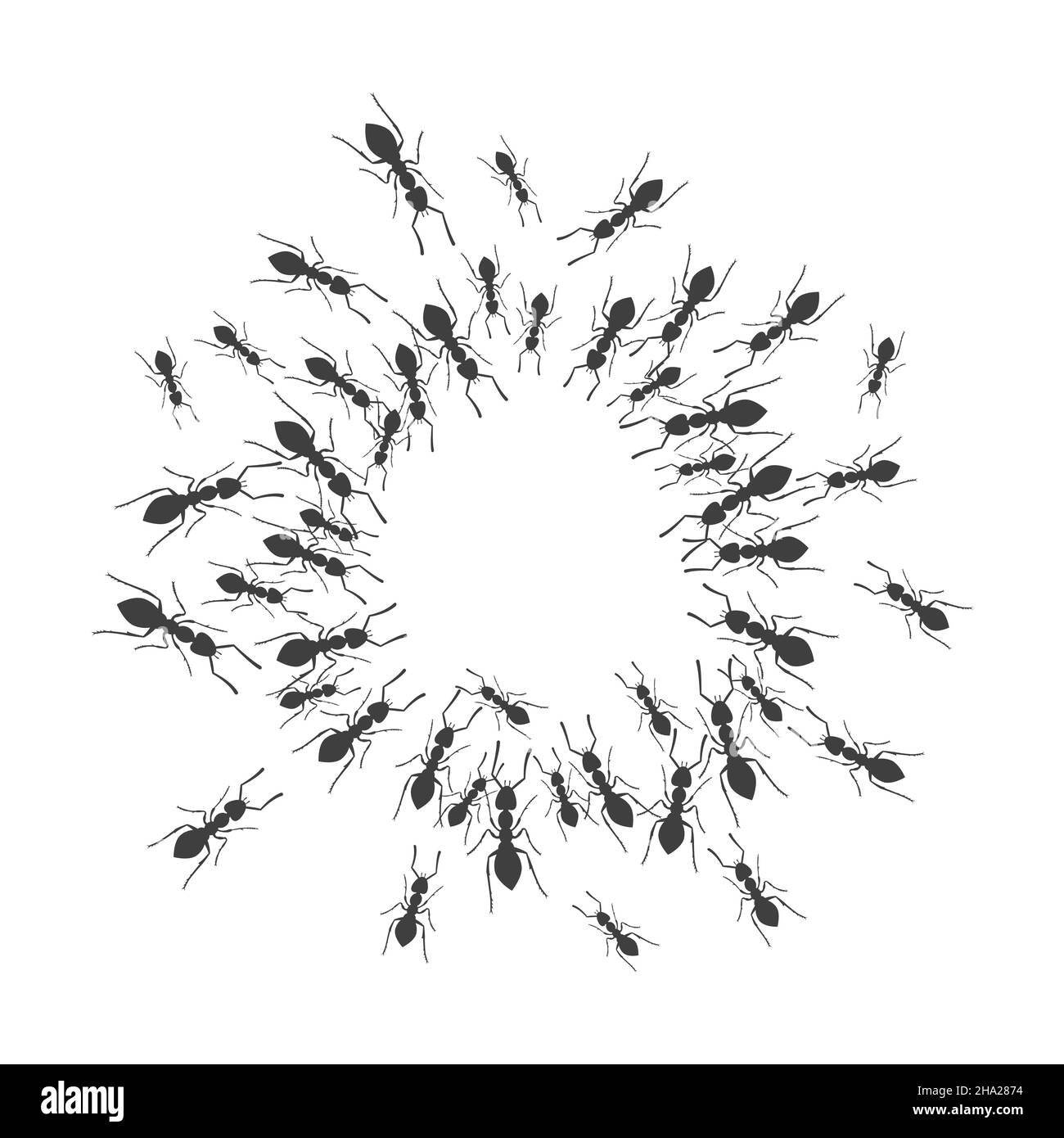 A colony of ants gathers in a circle. A group of insects around a place for a text. Vector Stock Vector