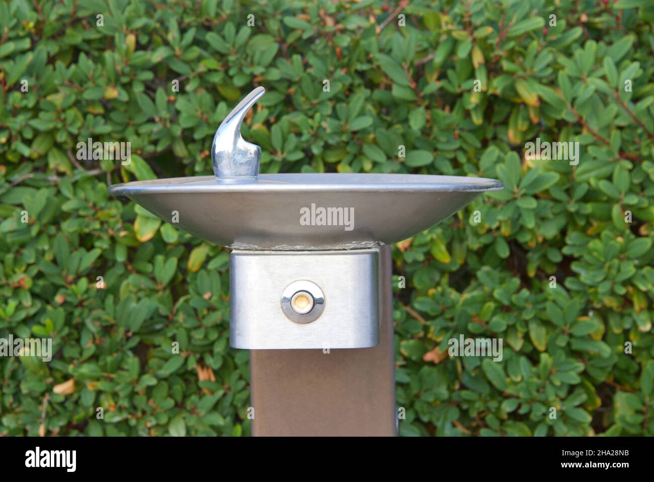 Close up of one push button stainless steel water fountain outside with green bushes in background. Stock Photo