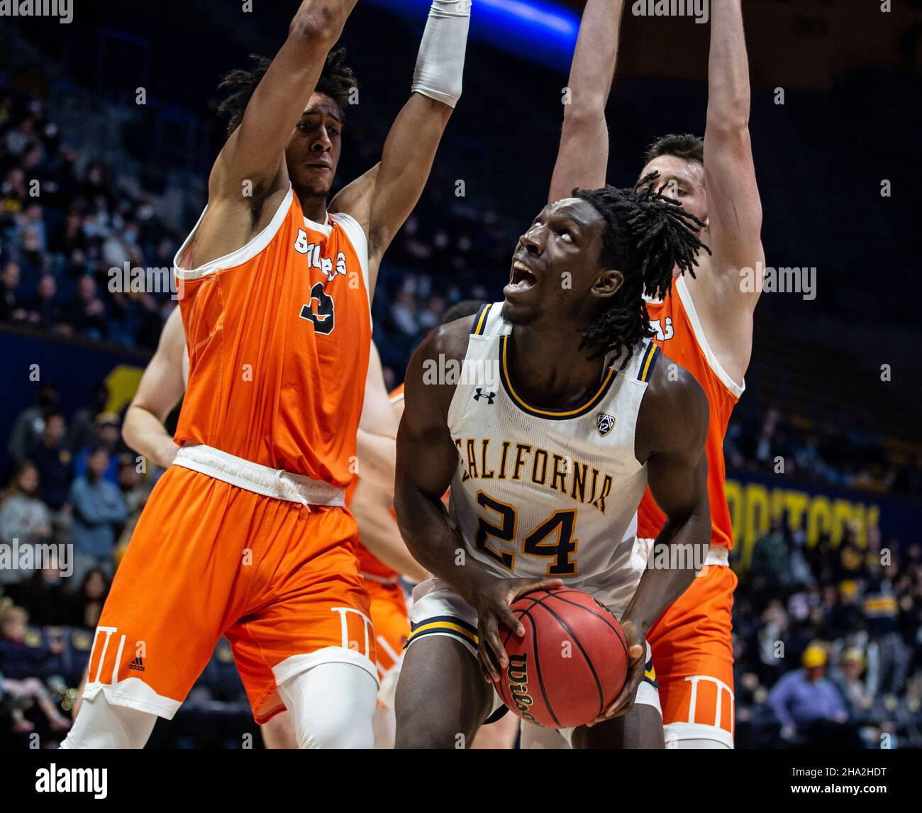 Hass Pavilion Berkeley Calif, USA. 08th Dec, 2021. CA U.S.A. California forward Sam Alajiki (24) tries to score surrounded by Idaho State players in the paint during the NCAA Men's Basketball game between Idaho State Bengals and the California Golden Bears. California won 72-46 at Hass Pavilion Berkeley Calif. Thurman James/CSM/Alamy Live News Stock Photo