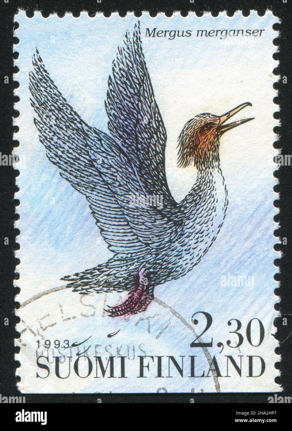 FINLAND - CIRCA 1993: stamp printed by Finland, shows Mergus merganser, circa 1993 Stock Photo