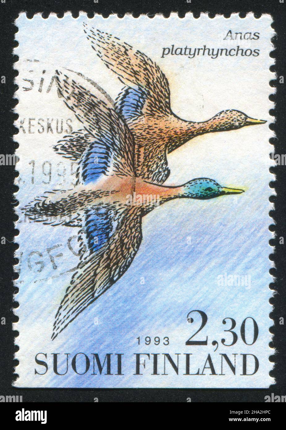 FINLAND - CIRCA 1993: stamp printed by Finland, shows Mallard, circa 1993 Stock Photo