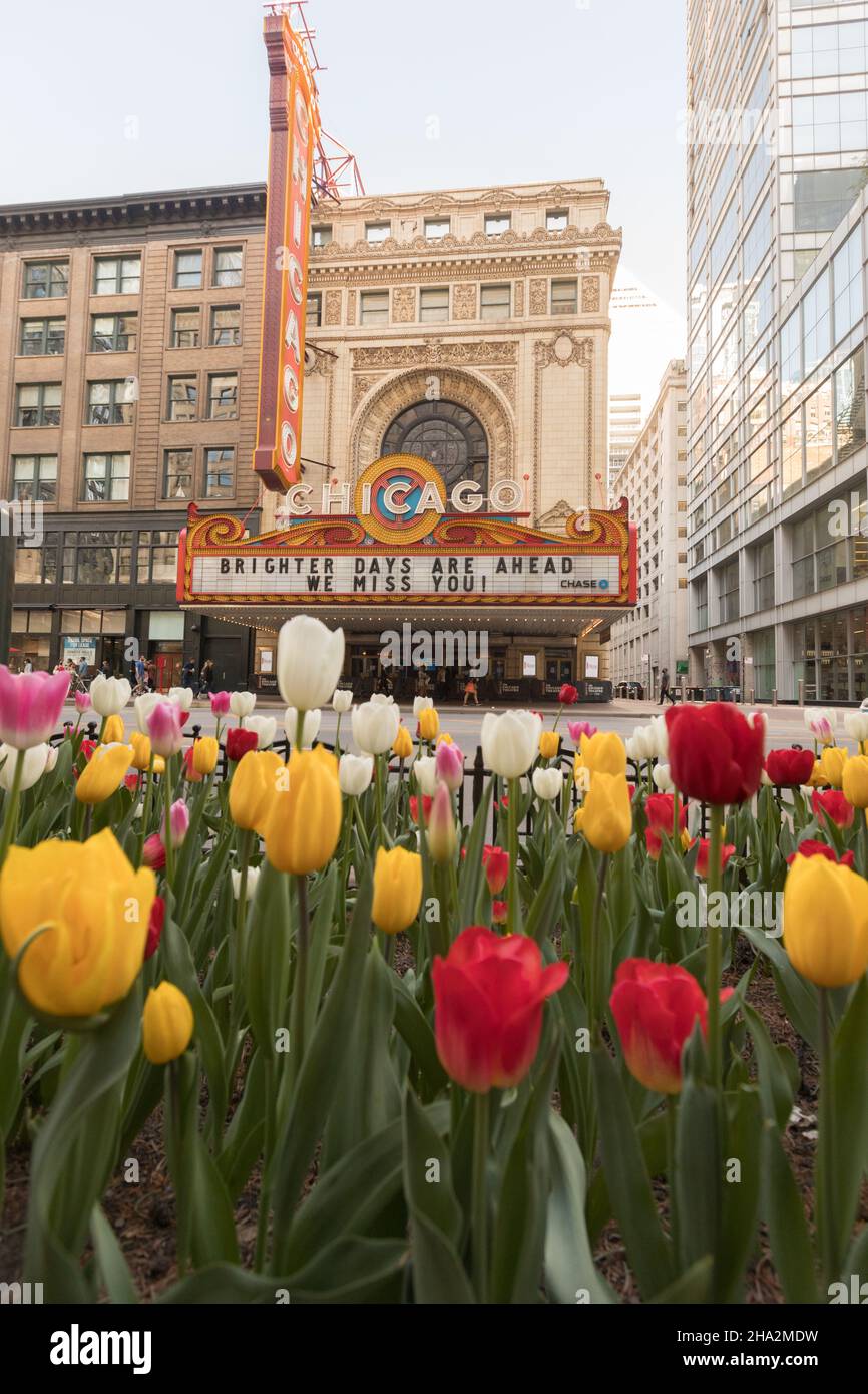 Chicago, Illinois, USA: The Chicago Theater n the Springtime with ...