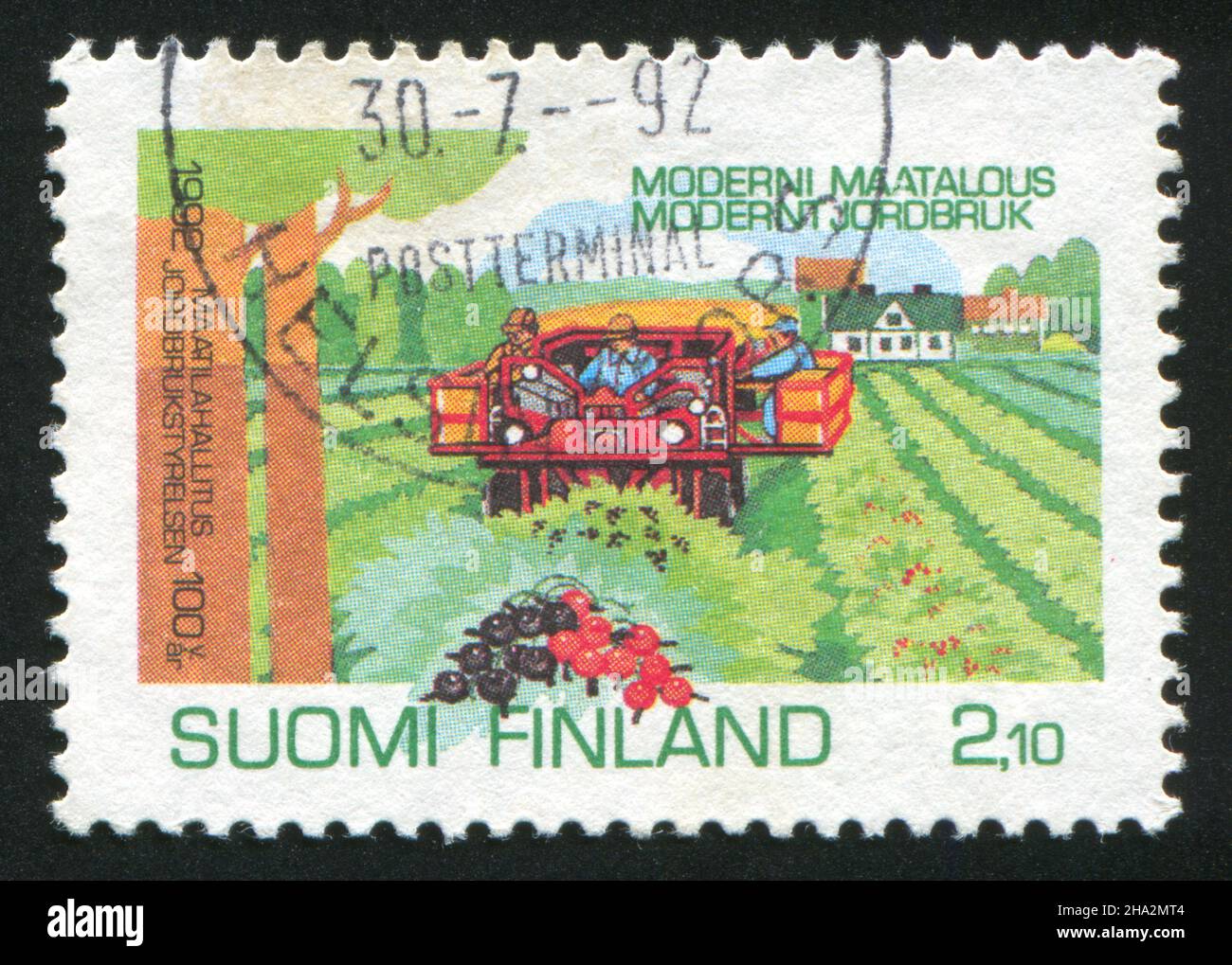 FINLAND - CIRCA 1992: stamp printed by Finland, shows Currant Harvesting, circa 1992 Stock Photo