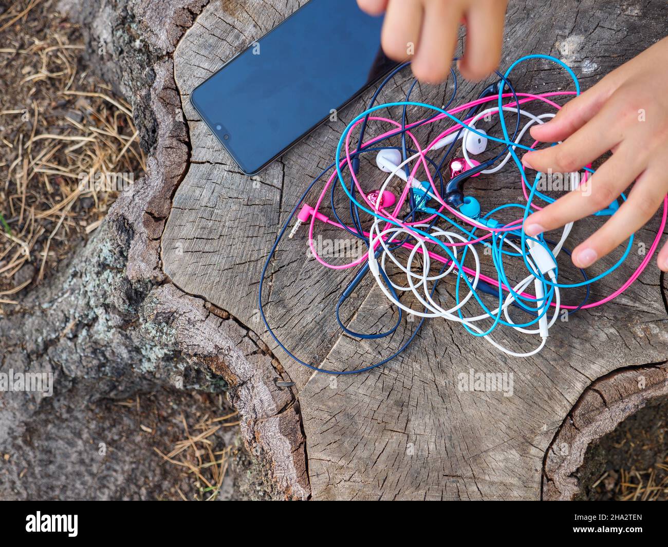 A phone and a hand holding a knot of four pairs of in-ear wired colorful pink, blue, white, and black earbuds tangled in a messy chaotic problem. Stock Photo