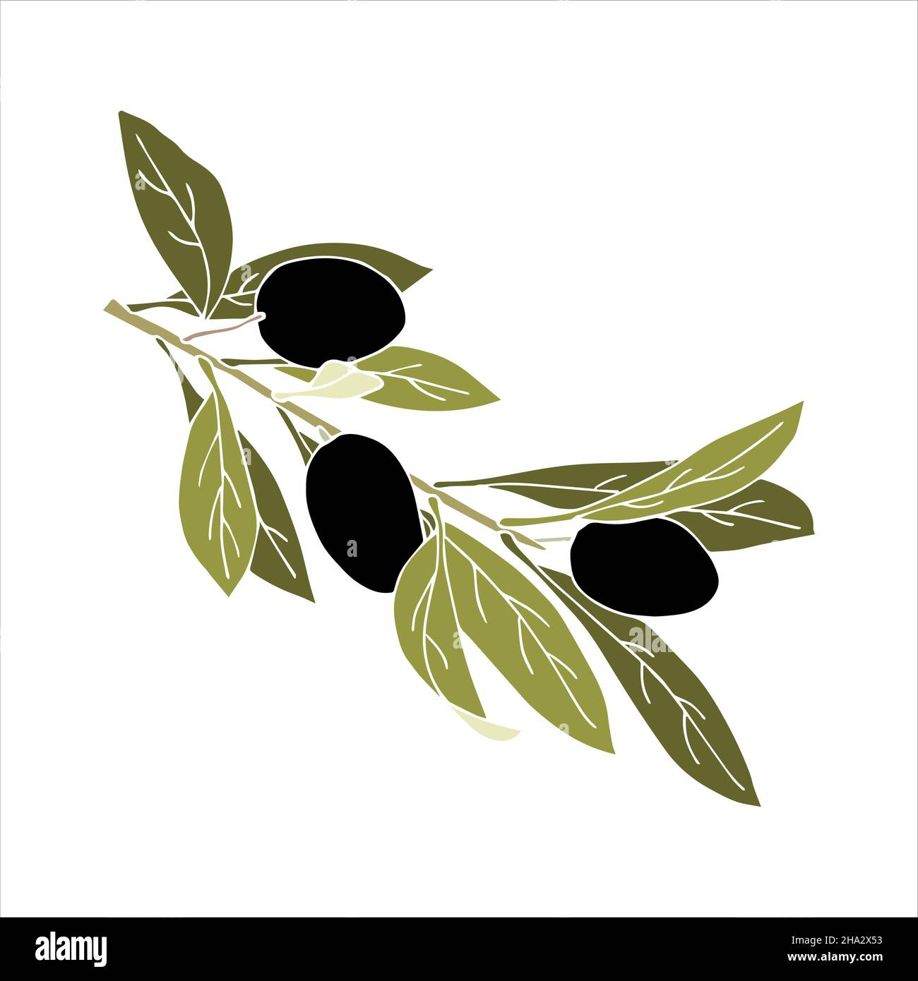 Olive Tree Leaves Vector Set Of Vector Logos Of Olive Branch, Tree,