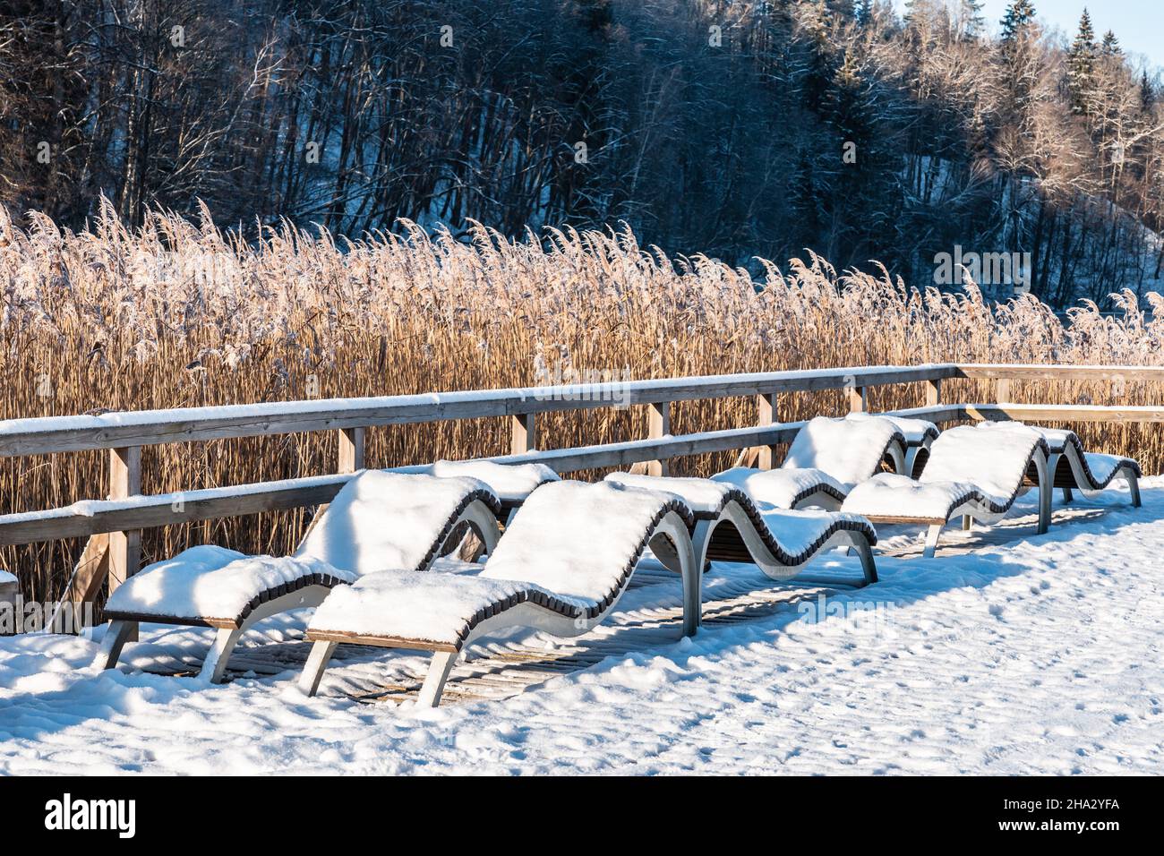 Lake beach jetty with sun beds covered in snow and frosted trees in a background on a sunny winter day Stock Photo