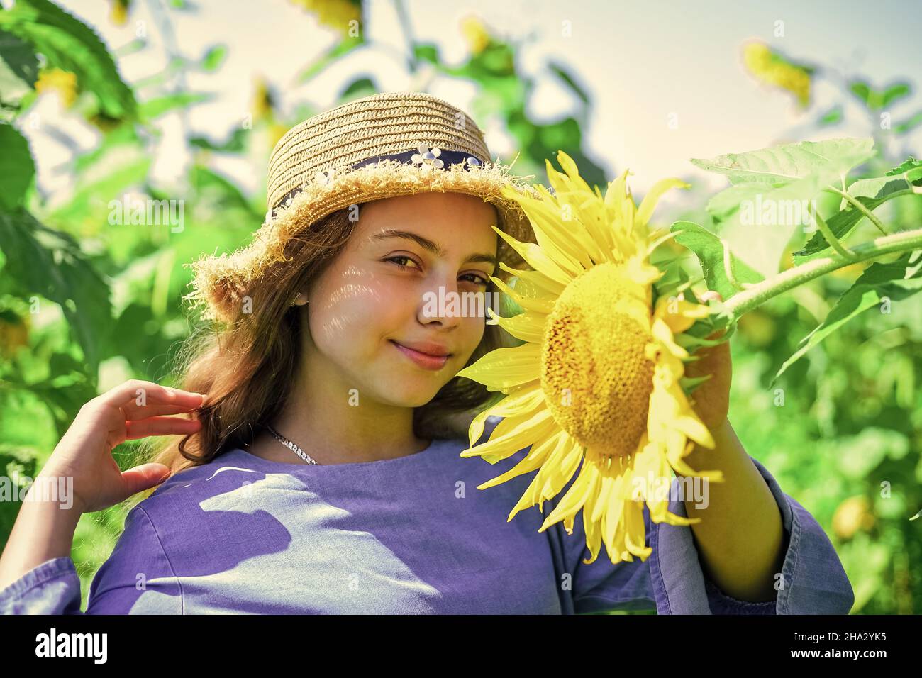 Under the weather. teen girl in sunflower field. concept of summer ...