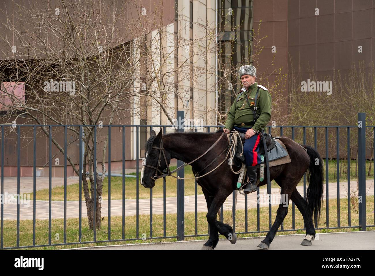 A mustachioed elderly Cossack in a fur hat and a saber rides a brown horse past the building of the Institute of Arts in the spring city. Stock Photo