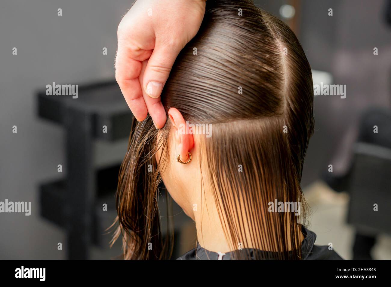 Hairdresser divides female hair into sections with comb holding hair with  her hands in hair salon close up Stock Photo - Alamy