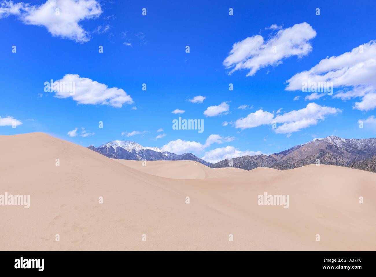 Colorado USA Great Sand Dunes National Park and Preserve: Hikers Stock ...