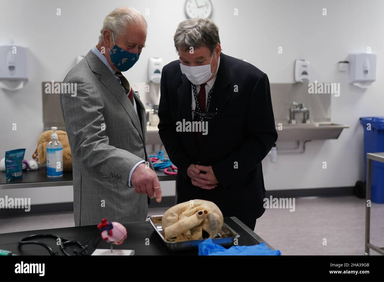 The Prince of Wales inspect a veterinary specimen during a visit to