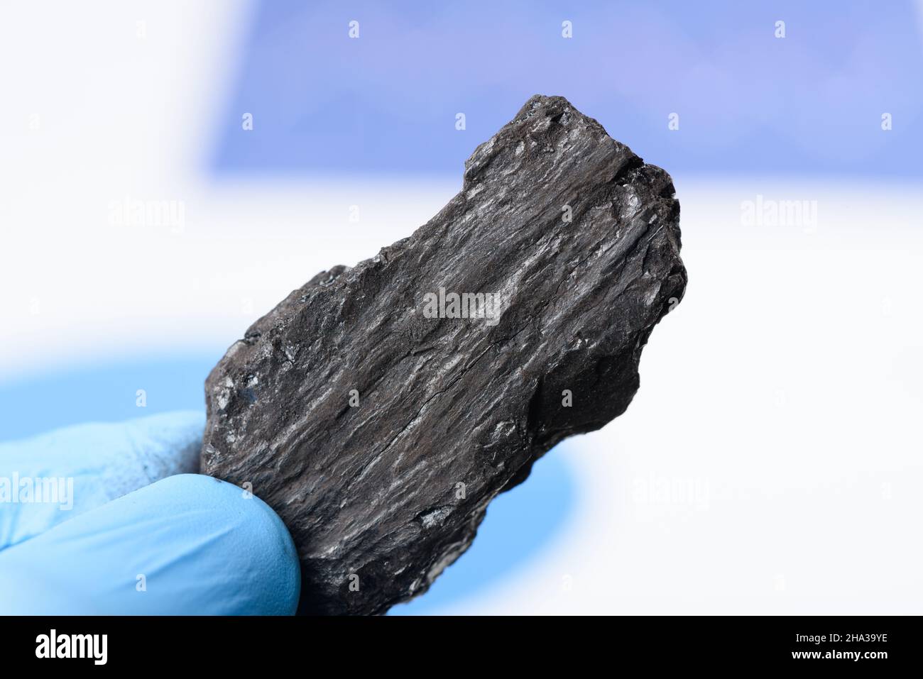 Coal lumps in scientist hand. Fossil fuel energy research concept. Stock Photo