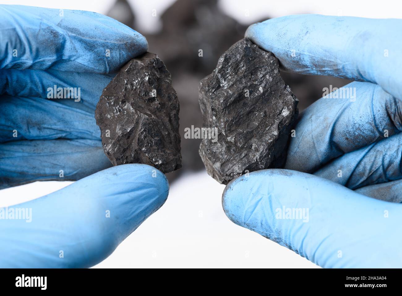 Coal lumps in scientist hands. Fossil fuel energy research concept. Stock Photo