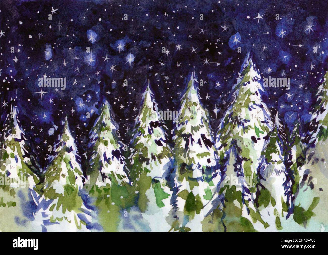 Christmas card illustration. Winter forest. Stock Photo