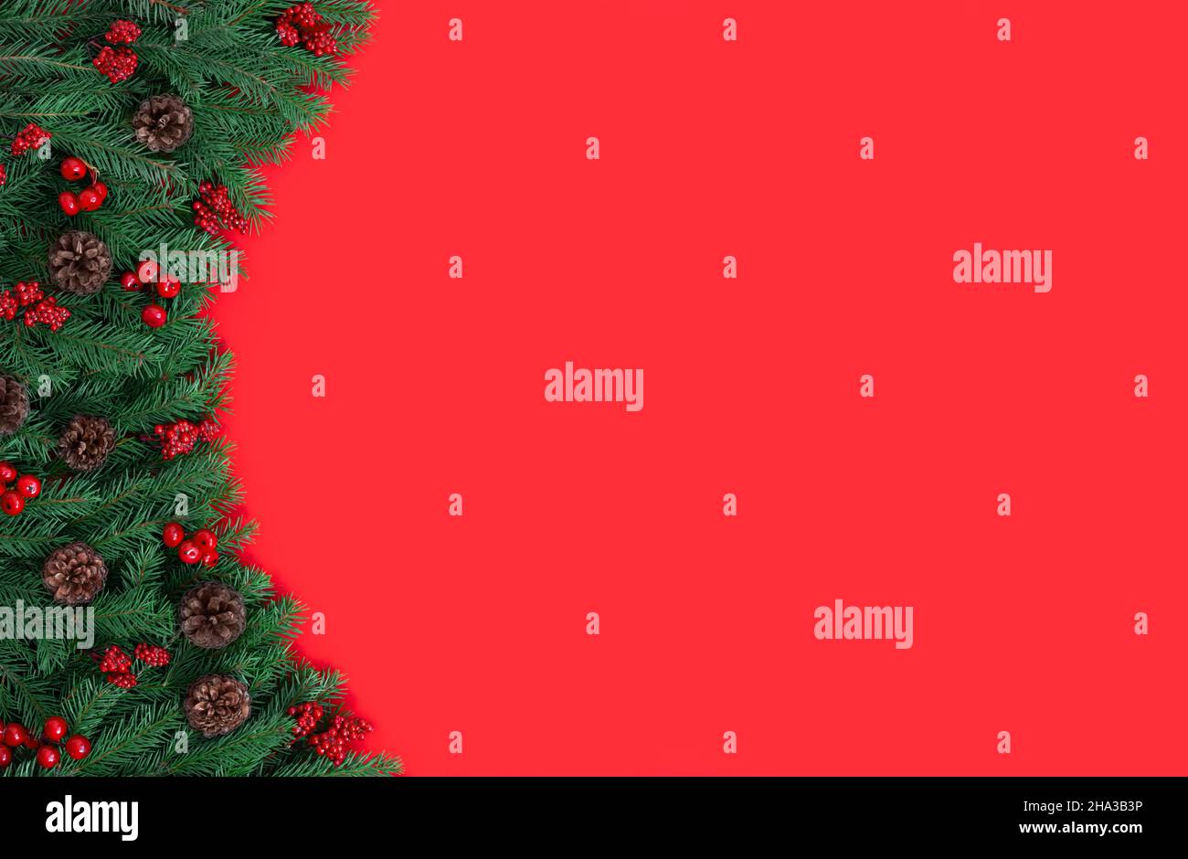 Christmas border with fir branches, cones and berries on red background ...